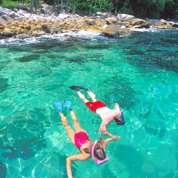 Practicar snorkel juntos – PUERTO VALLARTA, AVENTURA Y ECOTURISMO